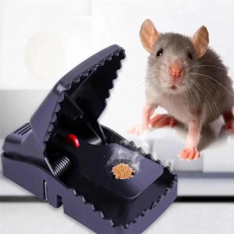 Mouse trap ( 6 pc)